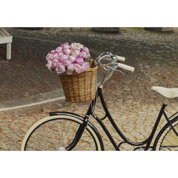 Basil basket 2025